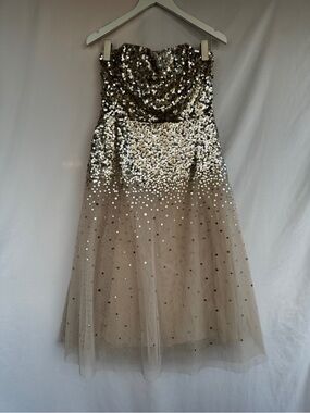 ✨BCBGMaxAzria Champagne Sequin Dress (Beige)✨Size:10